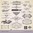 vector set: calligraphic design elements and page decoration - lots of useful elements to embellish  | Stock vector