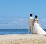 What is Stock Photography? What is Stock Photography?